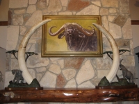 The Push and The Itch