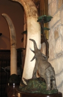 The Push and The Itch