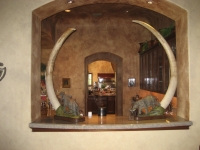 Tembo Up and Tembo Down