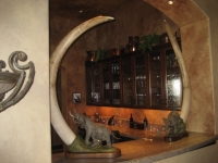 Tembo Up and Tembo Down