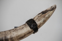 Elephant Hair Bracelet Wall Mounting