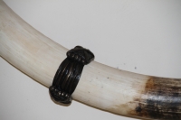 Elephant Hair Bracelet Wall Mounting