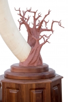 African Baobab Tree Tusk Holder in Clay